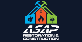 Mesa Mold Removal Companies
