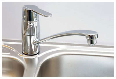 Waterdogs Plumbing